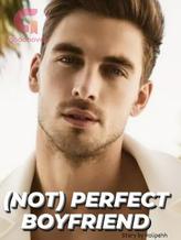 Novel (NOT) PERFECT BOYFRIEND by holipehh