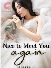 Novel Nice to Meet You Again by Rien Rini