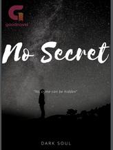 Novel No Secret by Lemo