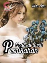 Novel Noda Di Awal Pernikahan by Aida Ayu