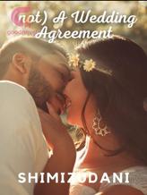 (Not) A Wedding Agreement