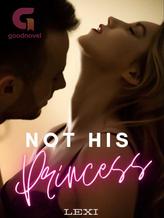 Novel Not His Princess by Lexi