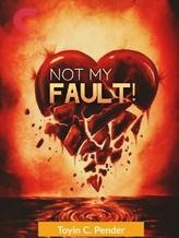 Novel Not My Fault by Toyin Clay