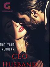 Novel Not Your Regular CEO Husband by Leyla McKenzie