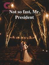 Novel Not so fast, Mr. President by Indolent_Baby