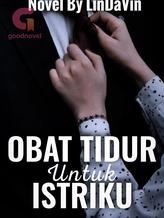 Novel OBAT TIDUR UNTUK ISTRIKU by LinDaVin