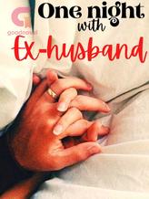 Novel One night with Ex-Husband by Anjaani