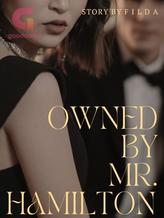Novel Owned by Mr. Hamilton by F I L D A Novel Owned by Mr. Hamilton by F I L D A