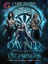 Novel Owned by the Fae Princes by Lark Quinn