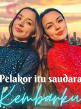 Novel PELAKOR ITU SAUDARA KEMBARKU by Alya Snitzky