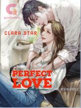 Novel PERFECT LOVE by Clara Star