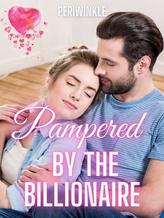 Novel Pampered by the Billionaire by Periwinkle