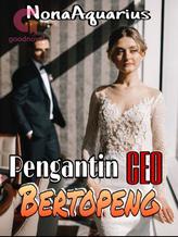 Novel Pengantin CEO Bertopeng by NonaAquarius