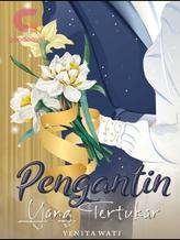 Novel Pengantin yang Tertukar by Yenita Wati