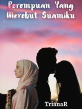 Novel Perempuan Yang Merebut Suamiku by TrianaR