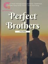 Novel Perfect Brothers by Pena Indah