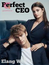 Novel Perfect CEO by Elang Wicaksono