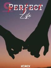 Novel Perfect Life by jk