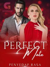 Novel Perfect Mate by Penyedap Rasa