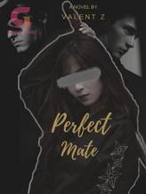 Novel Perfect Mate by Valent Z