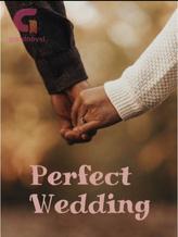 Novel Perfect Wedding by AlFirSan