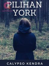 Novel Pilihan York by Calypso Kendra