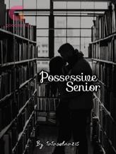 Novel Possessive Senior by Tata Selvia