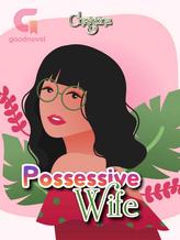 Novel Possessive Wife by Christina