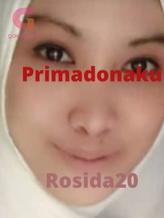 Novel Primadonaku by Rosida20