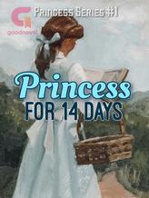 Novel Princess for 14 Days by Keysi