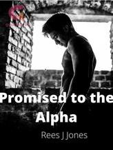 Novel Promised to the Alpha by Rees J Jones