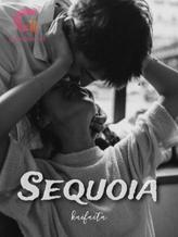 Novel SEQUOIA by Kaifaita Novel SEQUOIA by Kaifaita