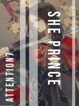 Novel SHE PRINCE by Attention7