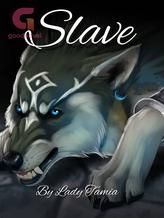 Novel SLAVE by Lady Tamia