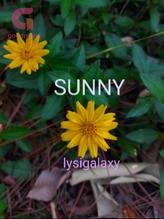 Novel SUNNY by Lysi galaxy