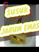 Novel SUSUK JARUM EMAS by Erwin Fathar