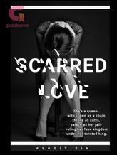 Novel Scarred Love by Myositisin