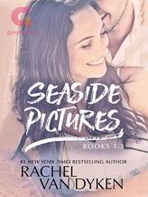 Novel Seaside Pictures by Rachel Van Dyken