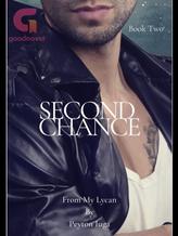 Novel Second Chance by Peyton Iuga