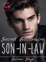 Novel Secret Billionaire, Son-In-Law by Salena Skye