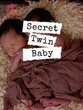 Novel Secret Twin Baby by Your Highness