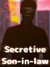 Novel Secretive Son-in-law by Finn