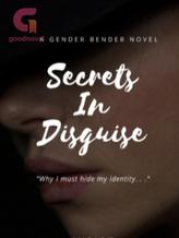 Novel Secrets In Disguise by miriot