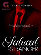 Novel Seduced by a stanger by Tamy Machado