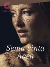 Novel Semu cinta Anea by Elyana Armeta