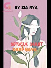 Novel Sepucuk Surat Dari Naya by Chan Zi