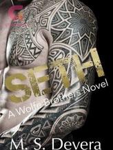 Novel Seth (Book 4) by M.S. Devera