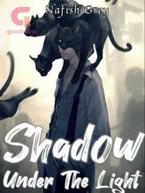 Novel Shadow Under The Light by Nafish Grey