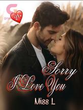 Novel Sorry, I Love You by Miss L