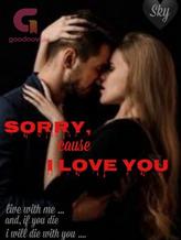 Novel Sorry, cause I Love You by Sky